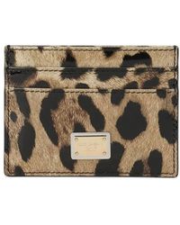 Dolce & Gabbana - Card Holder With Print - Lyst