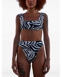 Haight - Beta Zebra-Print Bikini Bottoms - Lyst