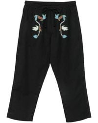 BAZISZT - Bird-Embroidered Drawstring Shorts - Lyst