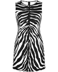 Dolce & Gabbana - Zebra-Print A-Line Mini Dress - Lyst