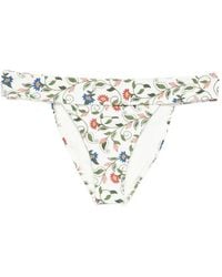FARM Rio - Stitched Garden Floral-Print Bikini Bottoms - Lyst