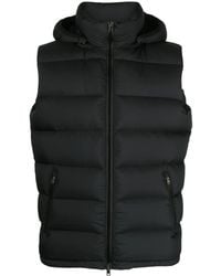 Herno - Gilet - Lyst