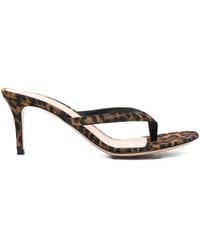 Gianvito Rossi - Calypso Leopard-Print Sandals - Lyst
