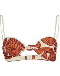 Johanna Ortiz - Oyster Shell-Print Bikini Top - Lyst