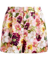 Alice + Olivia - Conry Floral-print Shorts - Lyst