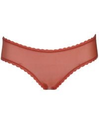 Laura Urbinati - Tulle Briefs - Lyst