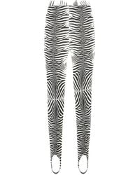 Roberto Cavalli - Zebra-Print Leggings - Lyst