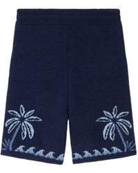 Alanui - Glimpse Of Eden Palm-Tree Shorts - Lyst