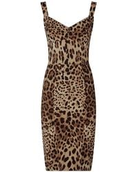 Dolce & Gabbana - Brown Leopard Print Midi Dress - Women's - Silk/polyamide/polyester/spandex/elastanespandex/elastane - Lyst