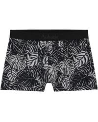 Aubade - Leaf-Print Boxer Briefs - Lyst