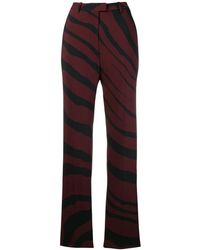 Roberto Cavalli - Hose Mit Zebra-Print - Lyst