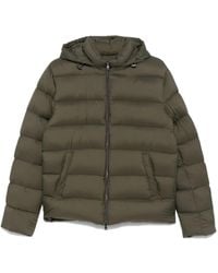 Herno - Gewatteerd Jack - Lyst