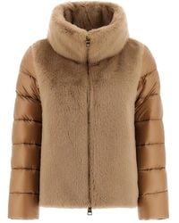 Herno - Jassen ,Bruin ,Nylon Cappa - Lyst