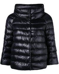 Herno Chaqueta acolchada Sofia - Negro