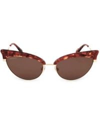 MAX&Co. - Tortoiseshell-Effect Cat-Eye Sunglasses - Lyst