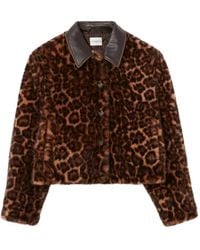 Claudie Pierlot - Jas Met Luipaardprint En Leren Afwerking - Lyst