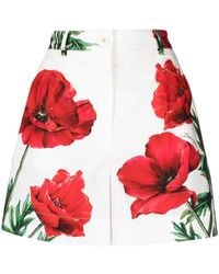 Dolce & Gabbana - Poppy-print Poplin Shorts - Lyst