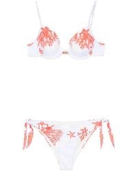 Mazzei - Bikini Con Estampado De Estrellas De Mar - Lyst