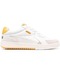 Palm Angels - Palm University Low-top Sneakers - Lyst