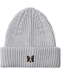 PELO FOUNDATION - Gorro Border Collie - Lyst