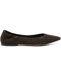 Pomme D ́Or - Pointed-Toe Suede Ballet Flats - Lyst