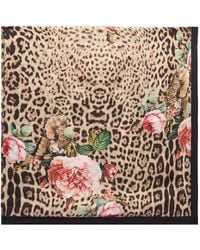 Roberto Cavalli - Leopard-Print Floral-Motif Scarf - Lyst