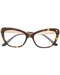 Dolce & Gabbana Mambo Collection Glasses - Brown