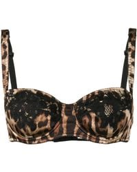 Dolce & Gabbana - Dolce&gabbana Leopard Print Bra - Lyst