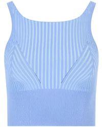 Iceberg - Ribbed-Knit Cropped Top - Lyst