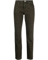 P.A.R.O.S.H. - Cleo Hose Mit Leoparden-Print - Lyst