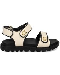 COACH - Brynn Logo Sandals - Lyst