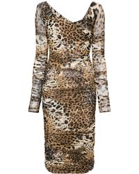 Roberto Cavalli - Midi-jurk Met Luipaardprint En Mesh - Lyst