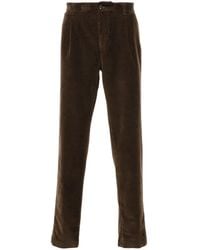 Peserico - Ribfluwelen Broek - Lyst