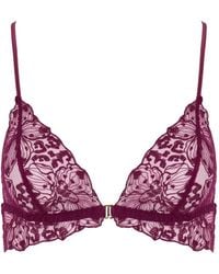 Fleur Of England - Floral-Lace Bra - Lyst