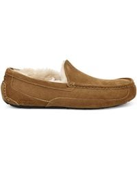 UGG - Ascot Slipper - Lyst