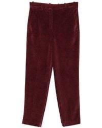 Circolo 1901 - Ribfluwelen Broek - Lyst