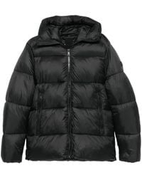 SERGIO MORETTI FIRENZE - Logo-Patch Padded Jacket - Lyst