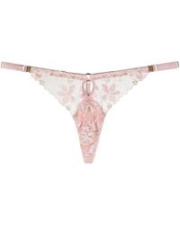 Bordelle - Vita Floral-Embroidered Thong - Lyst