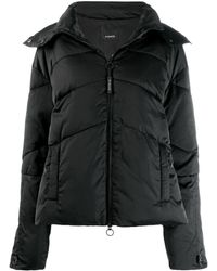 Pinko Zapatillas Iate Bossanova - Negro