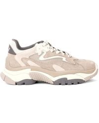Ash - Addict Sneakers Mit Schnürung - Lyst