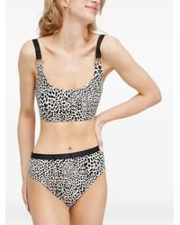 MICHAEL Michael Kors - Leopard-Print Logo-Waistband Bikini Bottoms - Lyst