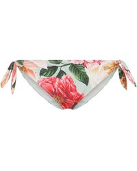 Dolce & Gabbana - Bragas de bikini con motivo floral - Lyst