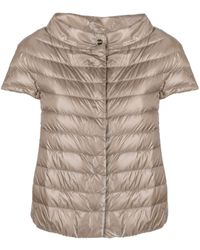 Herno - Margherita Short-sleeve Quilted Jacket - Lyst