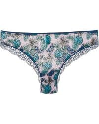 Dolci Follie - Bragas brasileñas con motivo de mariposas - Lyst