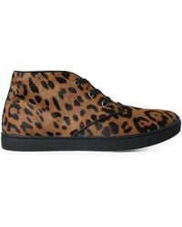 Dolce & Gabbana - Leopard-Print Calf Hair Sneakers - Lyst