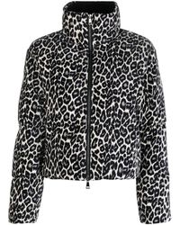 Moncler - Cheetah-print Padded Puffer Jacket - Lyst