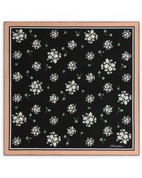 Dolce & Gabbana - Floral-Pattern Scarf - Lyst