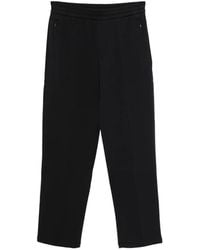 Emporio Armani - Cotton Sweatpants - Lyst