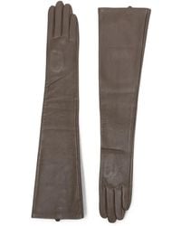 THE GARMENT - Lange Handschuhe Aus Leder - Lyst