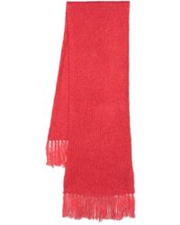 Luisa Cerano - Purl-knit Fringed Scarf - Lyst
